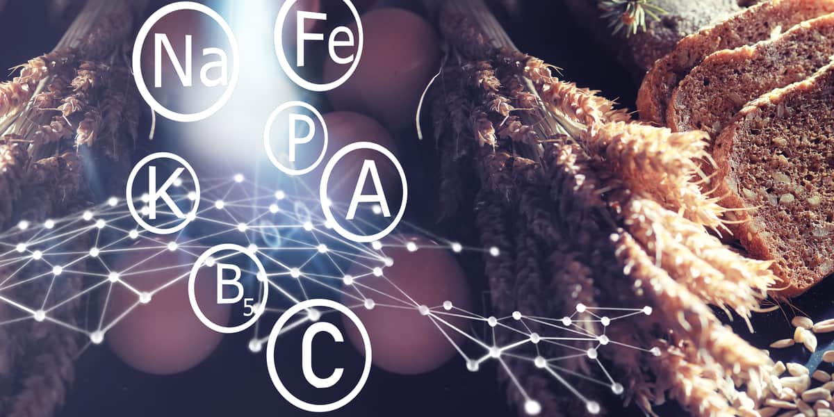 Vücudun Enerji Kaynakları: Karbonhidrat, Yağ ve Protein | Wom Sports